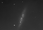 Supernova in M81