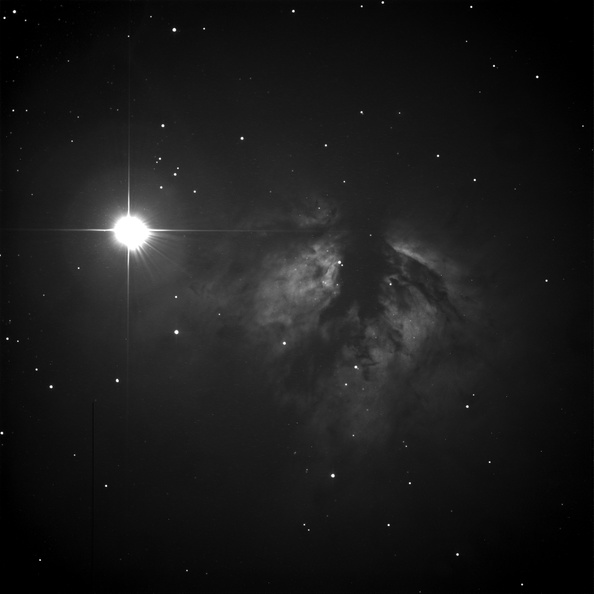 Kashif_Gasdia_NGC_2024.jpg