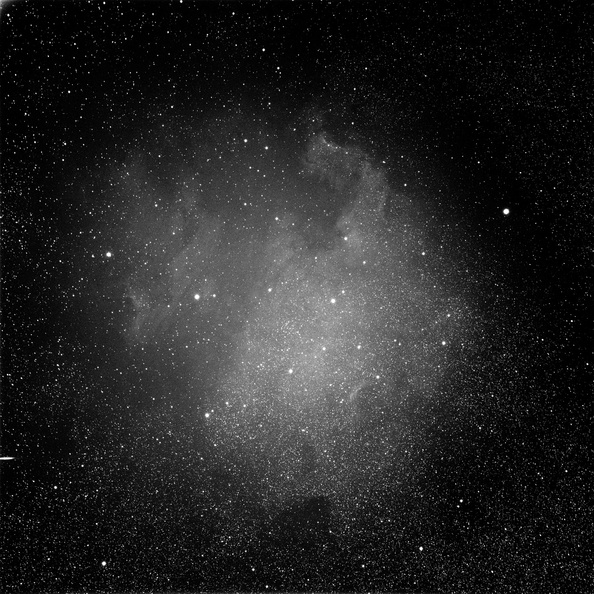 NGC7000 North American Nebula.jpg
