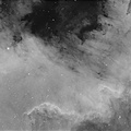 Cygnus Wall and Gulf of Mexico Nebulae