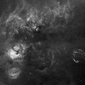 The Constellation Cygnus and Its Nebula